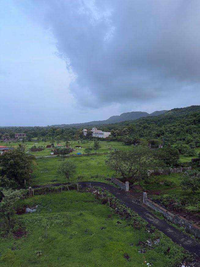 Coastal Diaries Restaurant — Additional photos
